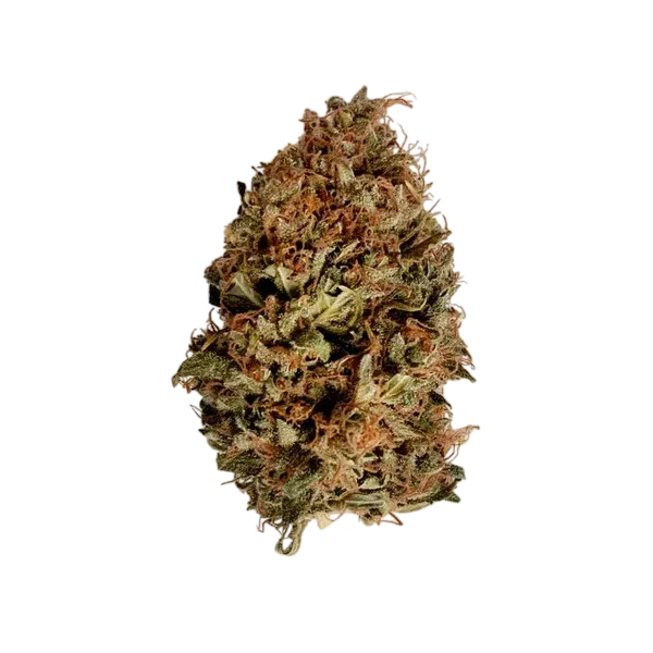 Stress Killer CBD | AUTOFEM | Royal Queen Seeds - Freigestellt 2026-06-09