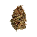 Stress Killer CBD | AUTOFEM | Royal Queen Seeds - Freigestellt 2026-06-09