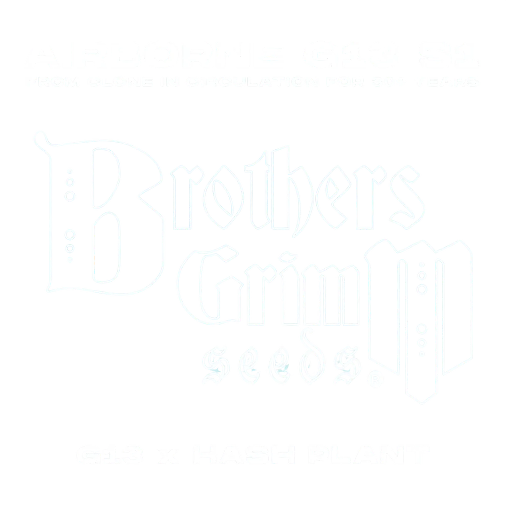 Airborne G13 S1 | PHOTOFEM | Brothers Grimm Seeds - Freigestellt 2026-08-13