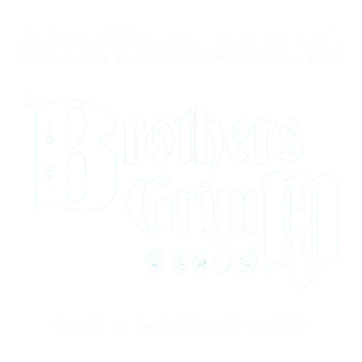 Airborne G13 S1 | PHOTOFEM | Brothers Grimm Seeds - Freigestellt 2026-08-13