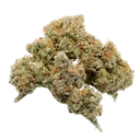 Banana Blaze Auto | AUTOFEM | Dutch Passion - Freigestellt 2026-08-13