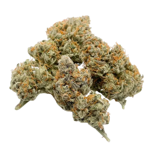 Banana Blaze Auto | AUTOFEM | Dutch Passion - Freigestellt 2026-08-13