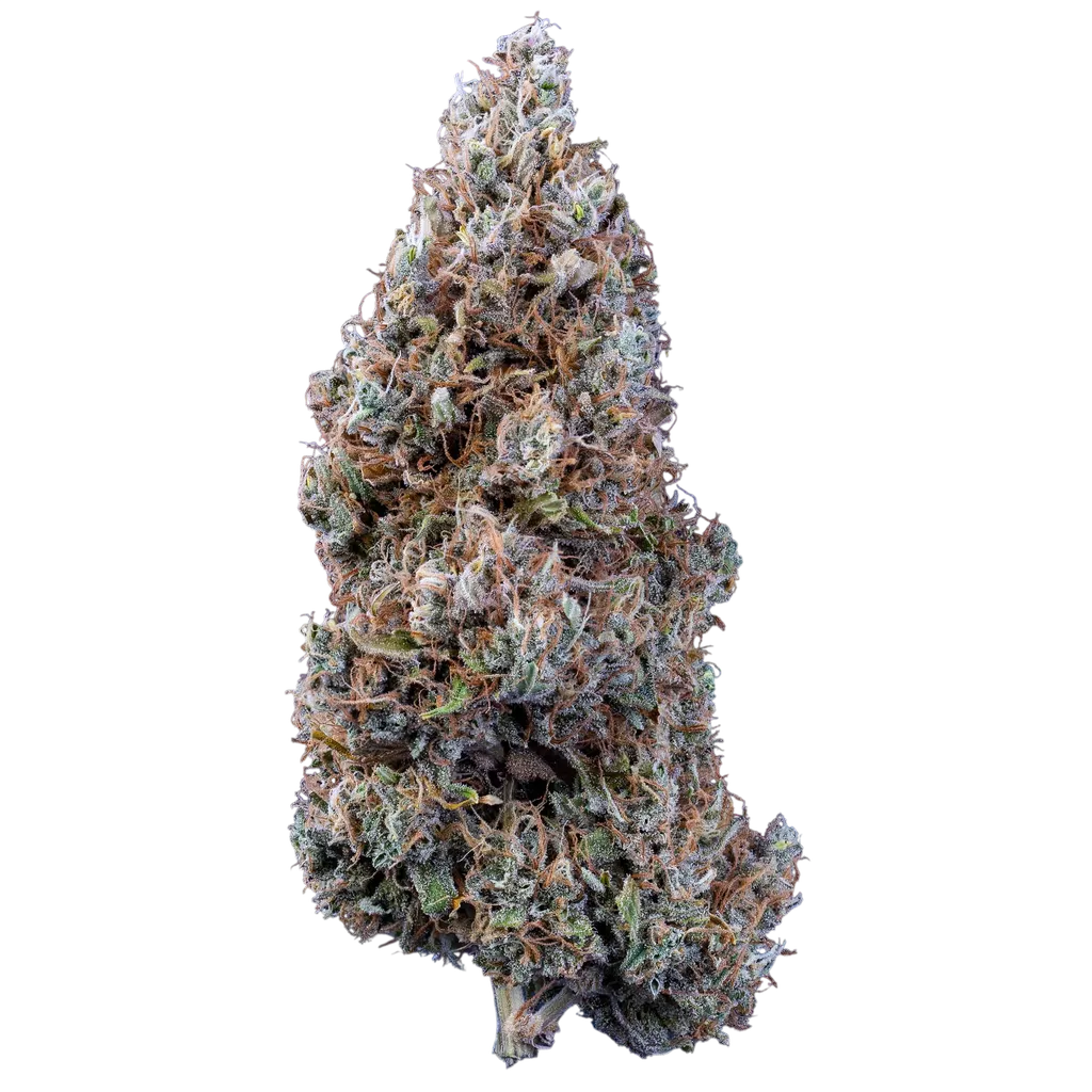 Bubbasquanch Auto | AUTOFEM | Mephisto Genetics - Freigestellt 2026-08-13