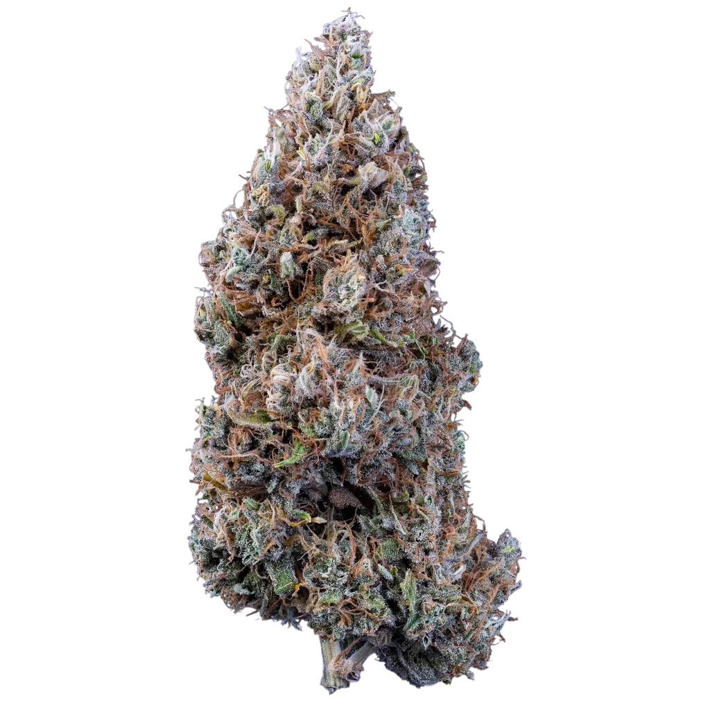 Bubbasquanch Auto | AUTOFEM | Mephisto Genetics - Freigestellt 2026-08-13