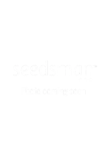 Purple Skunk Auto | AUTOFEM | Sensi Seeds