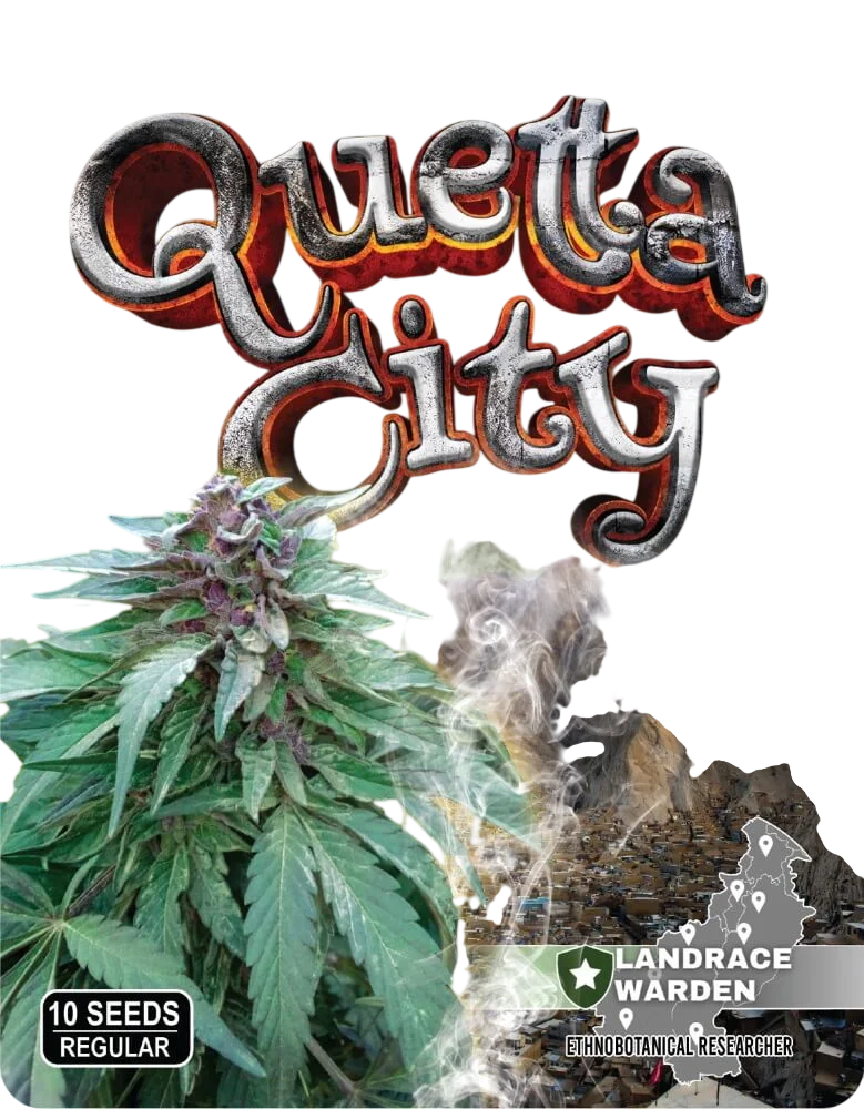 Quetta City | PHOTOREG | Landrace Warden