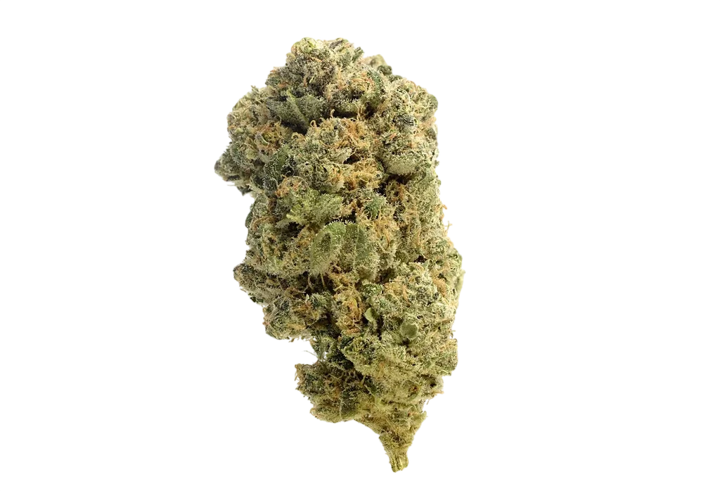Quicksilver | PHOTOFEM | Amsterdam Genetics