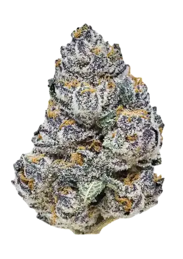 Rainbow Melon