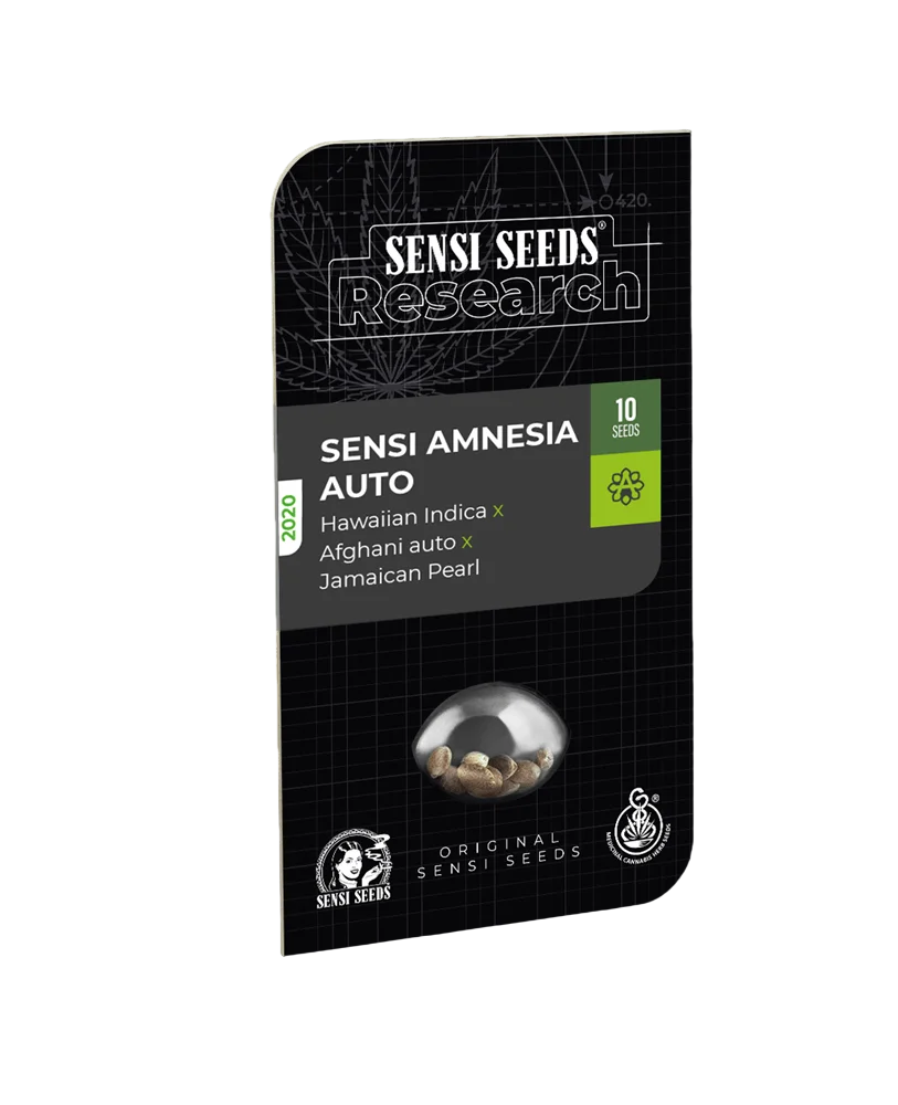 Sensi Amnesia Auto | AUTOFEM | Sensi Seeds