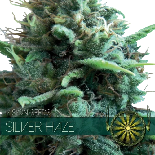 Silver Haze