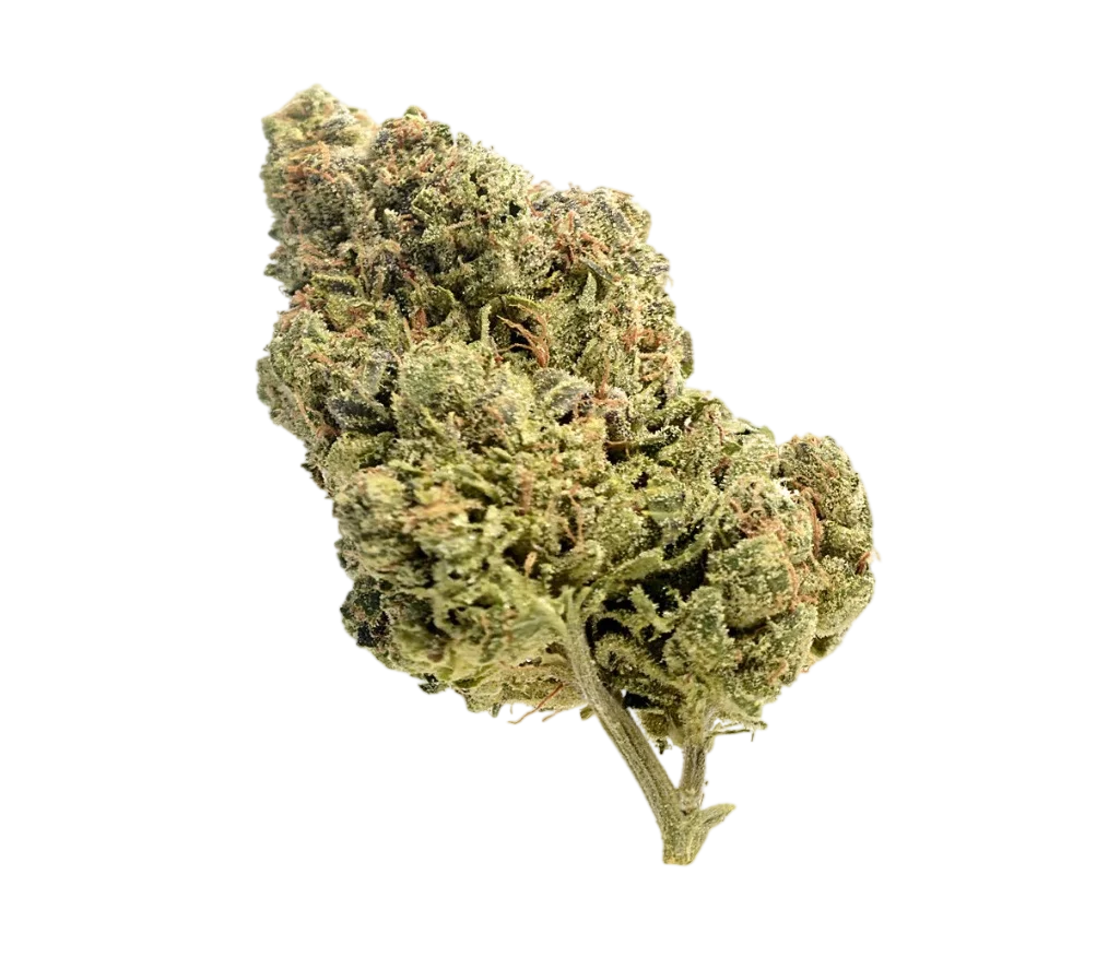Skyrocket | PHOTOFEM | Amsterdam Genetics
