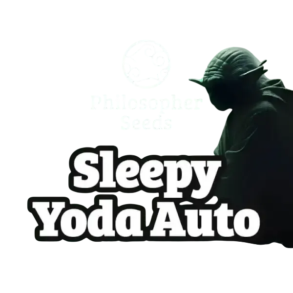 Sleepy Yoda Auto | AUTOFEM | Philosopher Seeds