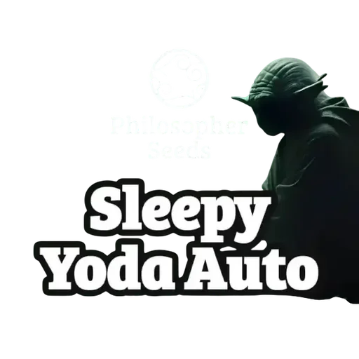 Sleepy Yoda Auto