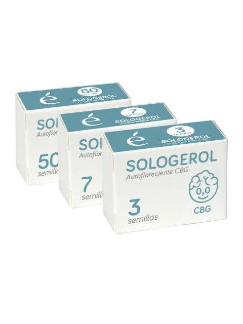 Sologerol CBG Auto | AUTOFEM | Elite Seeds