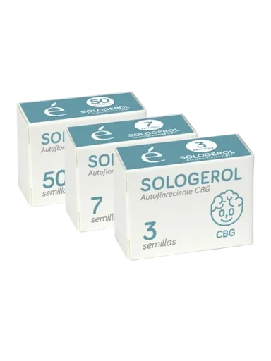 Sologerol CBG Auto