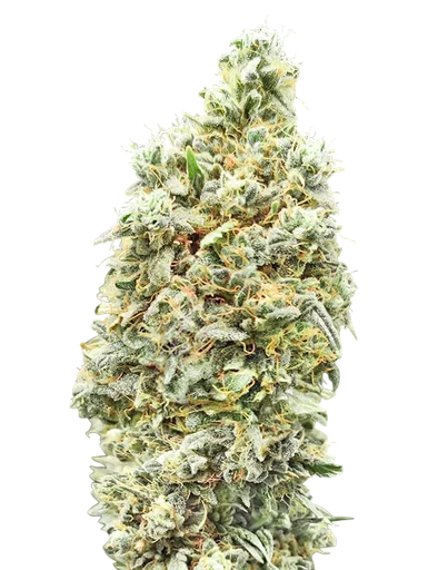 Strawberry Banana FAST