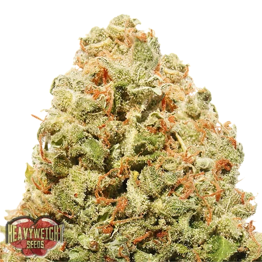 Strawberry Cake