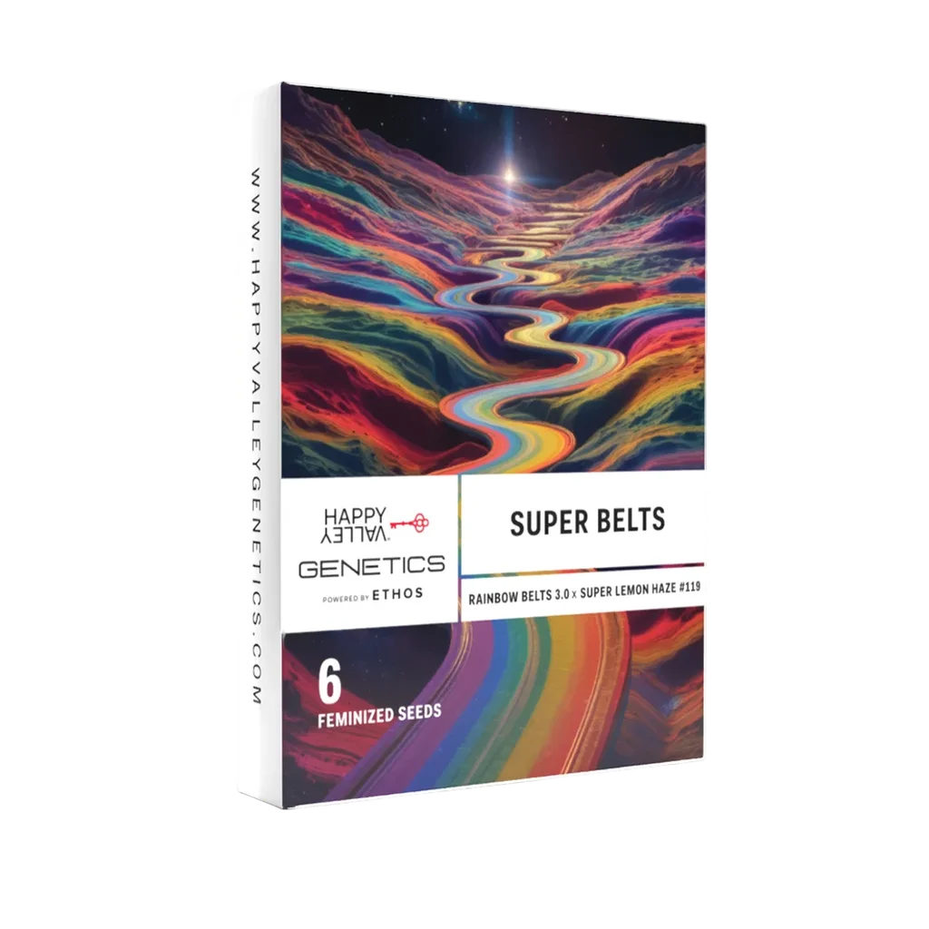 Super Belts – Produktansicht