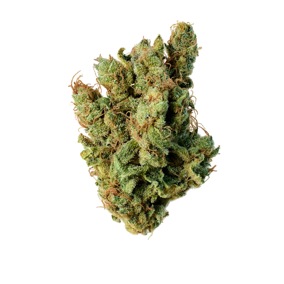 Super Silver Haze | PHOTOFEM | Amsterdam Genetics