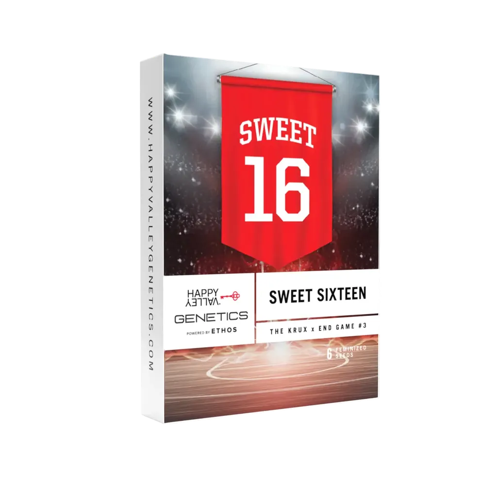 Sweet 16 | PHOTOFEM | Happy Valley Genetics
