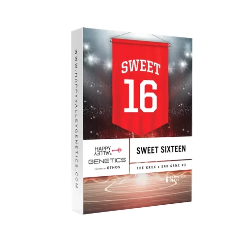Sweet 16