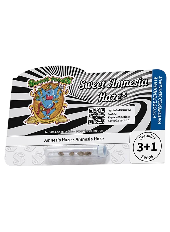 Sweet Amnesia Haze – Produktansicht