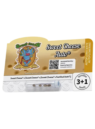 Sweet Cheese Auto
