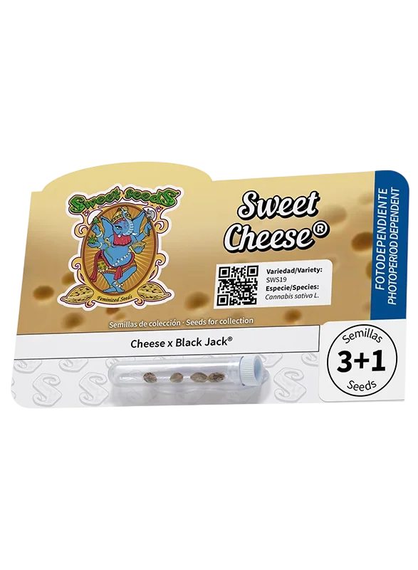 Sweet Cheese – Produktansicht