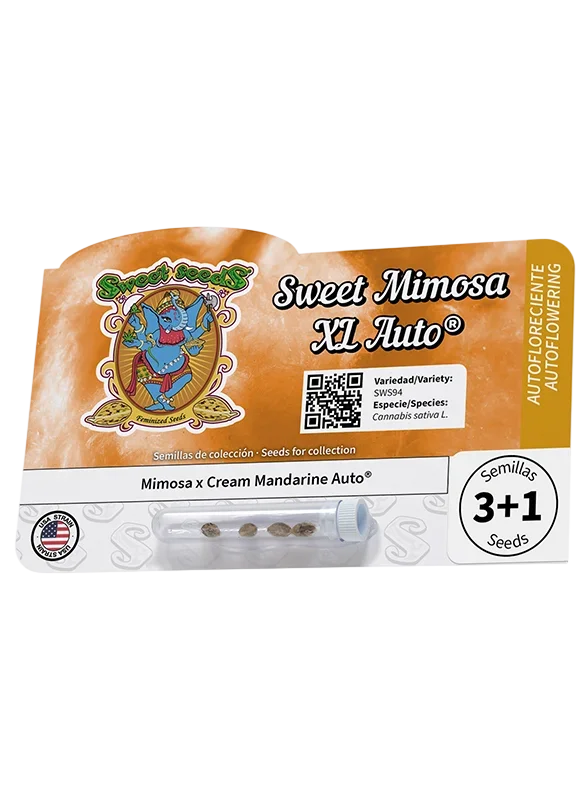 Sweet Mimosa XL Auto | AUTOFEM | Sweet Seeds