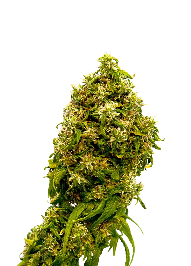 Swiss Dream CBD – Produktansicht