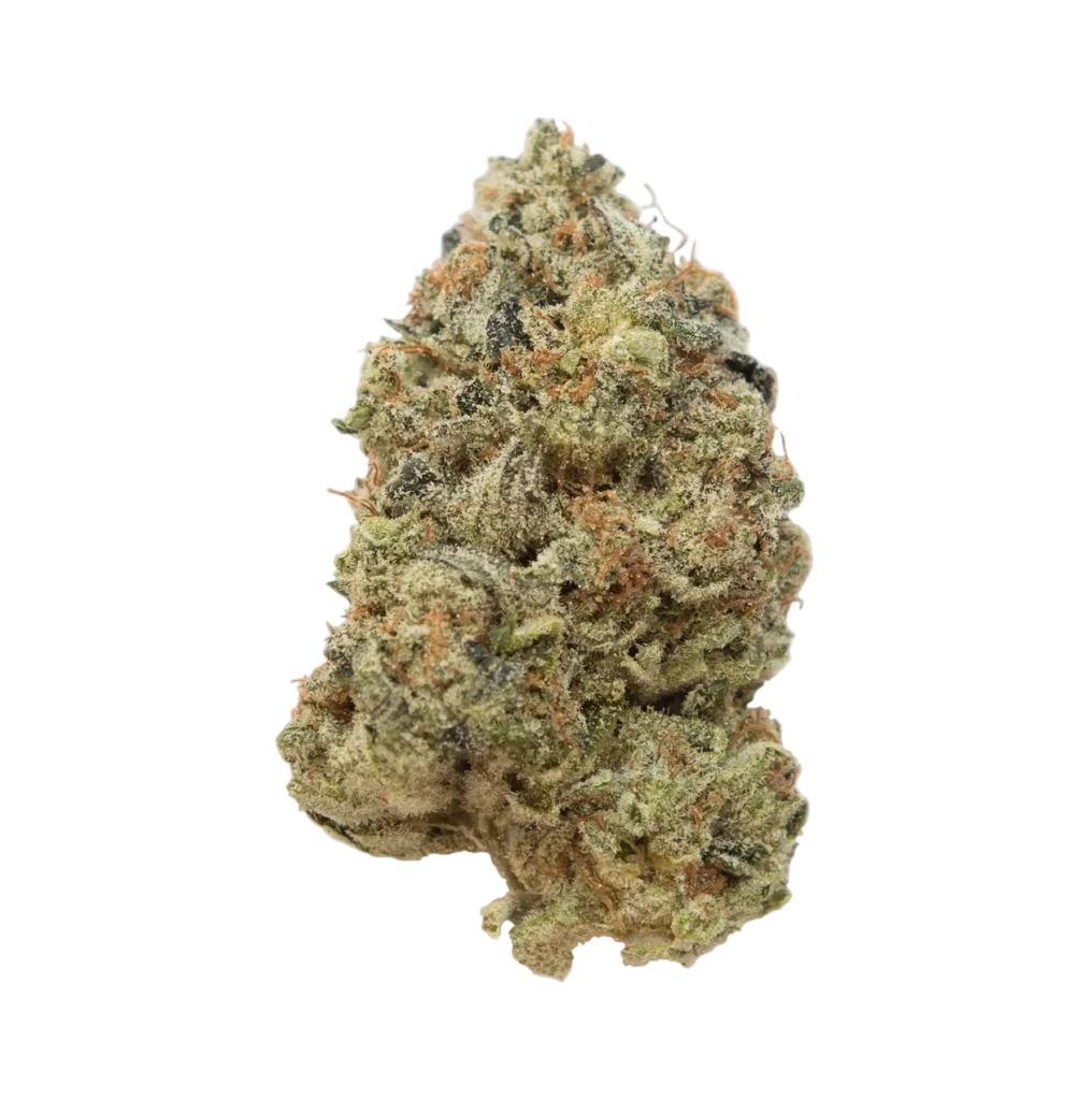 Tangerine G13 | PHOTOFEM | Amsterdam Genetics