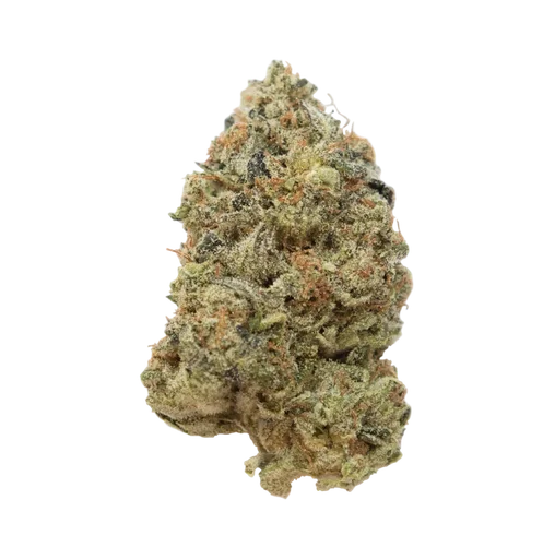 Tangerine G13