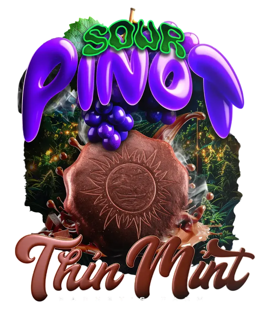 Thin Mint x Sour Pinot Auto | AUTOFEM | Barneys Farm