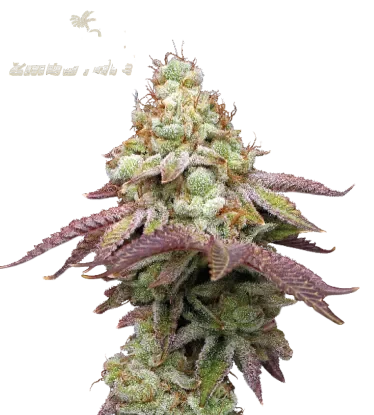 Tropical Zmoothie