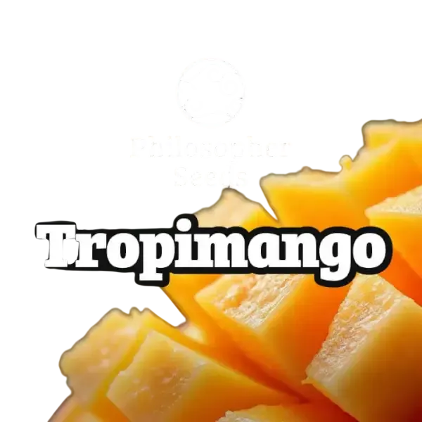 Tropimango | PHOTOFEM | Philosopher Seeds