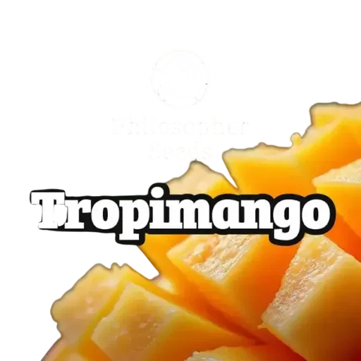Tropimango