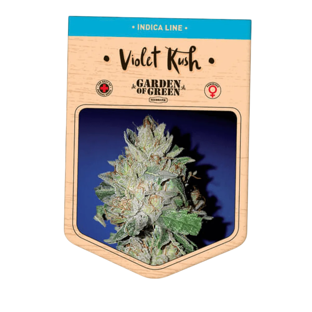 Violet Kush | PHOTOFEM | Garden Of Green