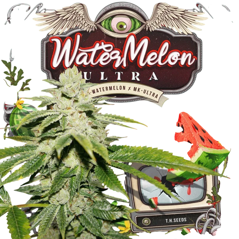 WaterMelon Ultra – Produktansicht