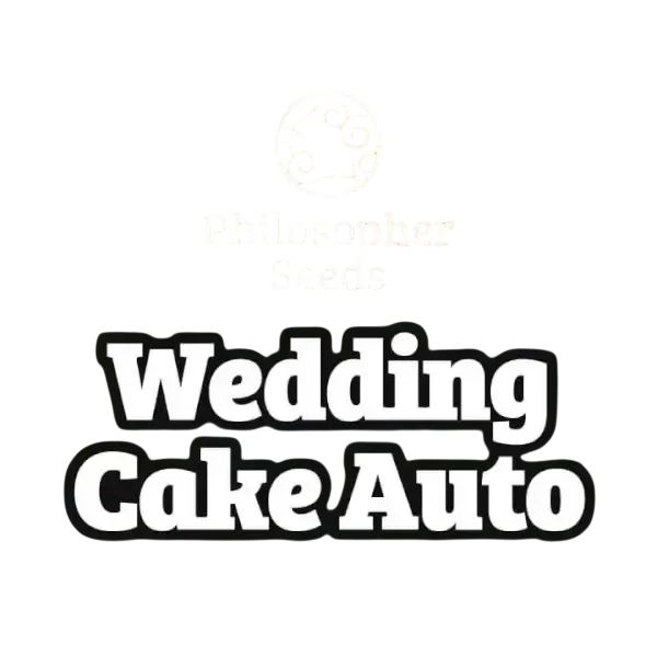 Wedding Cake Auto | AUTOFEM | Philosopher Seeds