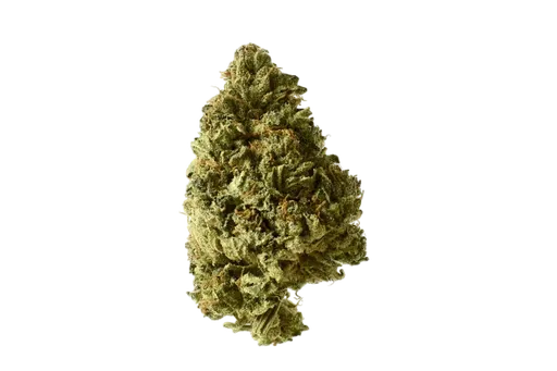 White Choco Auto