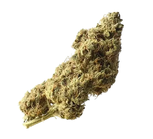 White Choco Haze