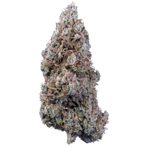 Bubbasquanch Auto | AUTOFEM | Mephisto Genetics