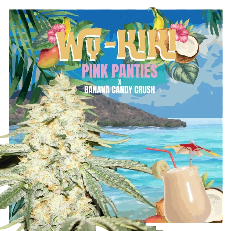 Wy-Kiki | PHOTOFEM | T.H. Seeds