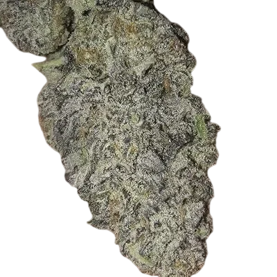 Zurple Punch BX | PHOTOFEM | In House Genetics