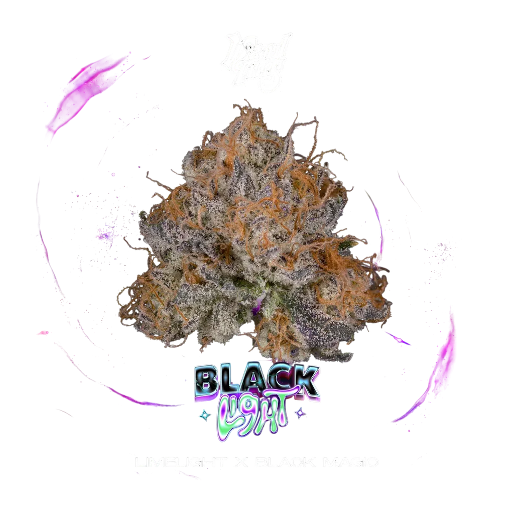 Black Light – Produktansicht