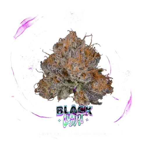 Black Light | PHOTOFEM | Wizard Trees