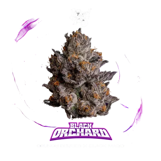 Black Orchard