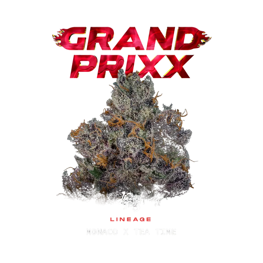 Grand Prixx | PHOTOFEM | Wizard Trees