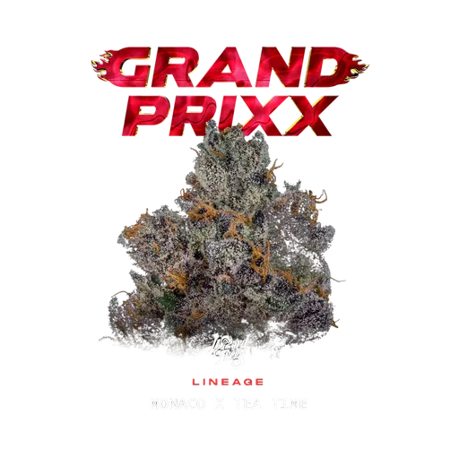 Grand Prixx