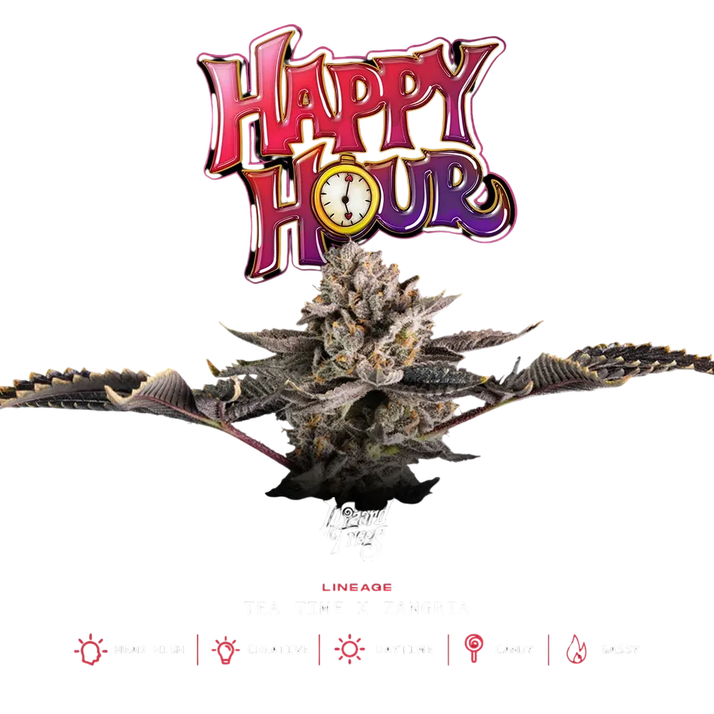 Happy Hour | PHOTOFEM | Wizard Trees
